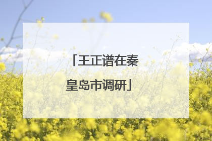 王正谱在秦皇岛市调研