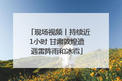 现场视频丨持续近1小时 甘肃敦煌遭遇雷阵雨和冰雹