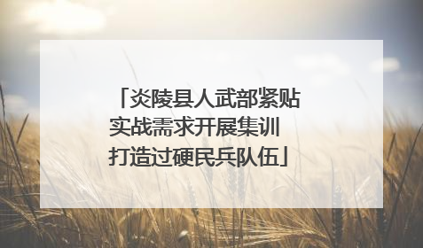 炎陵县人武部紧贴实战需求开展集训 打造过硬民兵队伍
