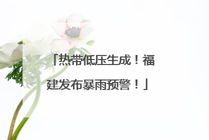 热带低压生成！福建发布暴雨预警！