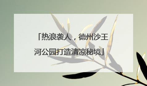 热浪袭人，德州沙王河公园打造清凉秘境
