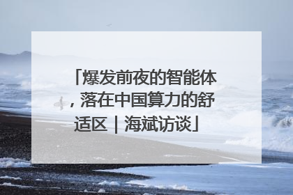 爆发前夜的智能体，落在中国算力的舒适区｜海斌访谈