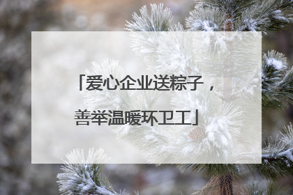爱心企业送粽子，善举温暖环卫工