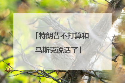 特朗普不打算和马斯克说话了