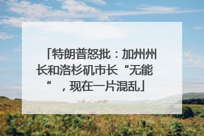 特朗普怒批：加州州长和洛杉矶市长“无能”，现在一片混乱