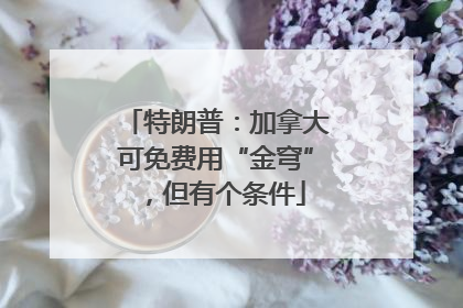 特朗普：加拿大可免费用“金穹”，但有个条件