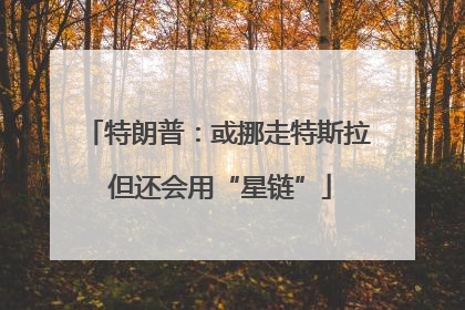 特朗普：或挪走特斯拉 但还会用“星链”