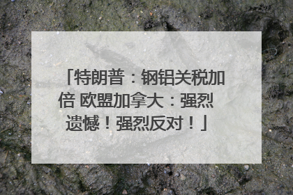 特朗普：钢铝关税加倍 欧盟加拿大：强烈遗憾！强烈反对！