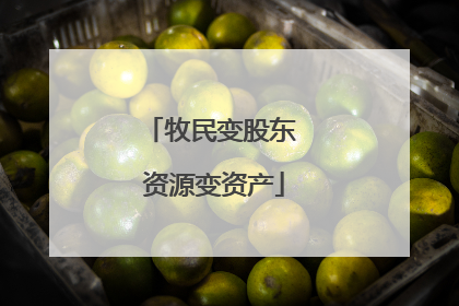 牧民变股东 资源变资产