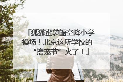 狐獴蜜袋鼯空降小学操场！北京这所学校的“撸宠节”火了！