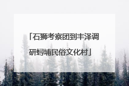 石狮考察团到丰泽调研蟳埔民俗文化村