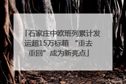 石家庄中欧班列累计发运超15万标箱 “重去重回”成为新亮点