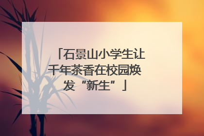 石景山小学生让千年茶香在校园焕发“新生”