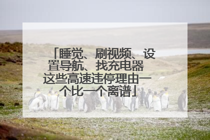 睡觉、刷视频、设置导航、找充电器 这些高速违停理由一个比一个离谱