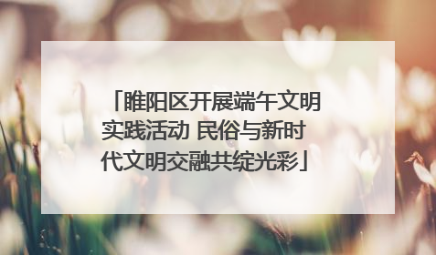 睢阳区开展端午文明实践活动 民俗与新时代文明交融共绽光彩