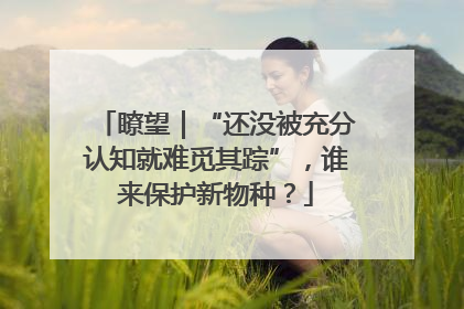 瞭望｜“还没被充分认知就难觅其踪”，谁来保护新物种？