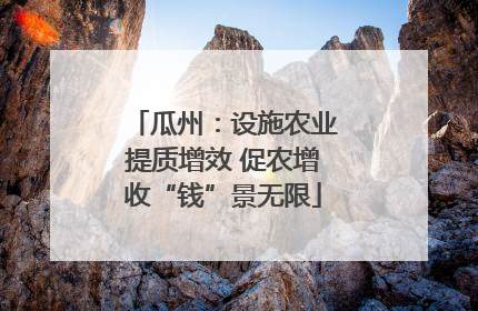 瓜州：设施农业提质增效 促农增收“钱”景无限