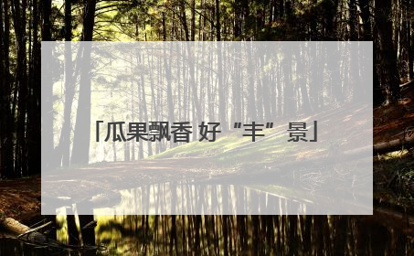 瓜果飘香 好“丰”景