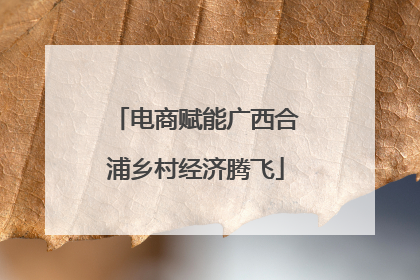 电商赋能广西合浦乡村经济腾飞