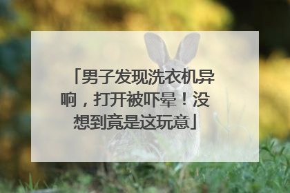 男子发现洗衣机异响，打开被吓晕！没想到竟是这玩意