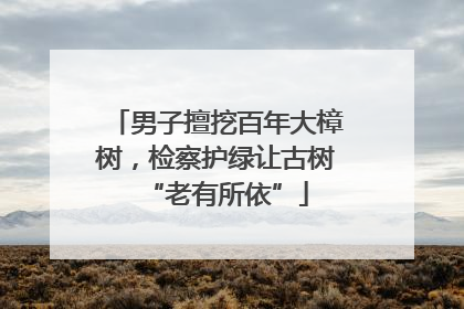 男子擅挖百年大樟树，检察护绿让古树“老有所依”