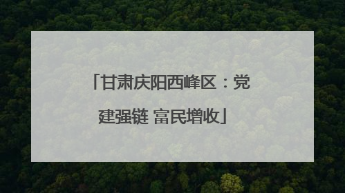 甘肃庆阳西峰区：党建强链 富民增收