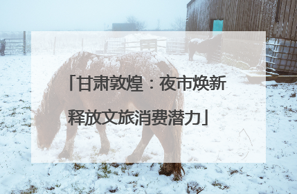 甘肃敦煌：夜市焕新释放文旅消费潜力