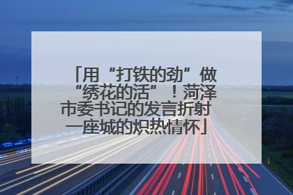 用“打铁的劲”做“绣花的活”！菏泽市委书记的发言折射一座城的炽热情怀