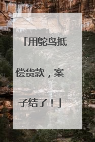 用鸵鸟抵偿货款，案子结了！