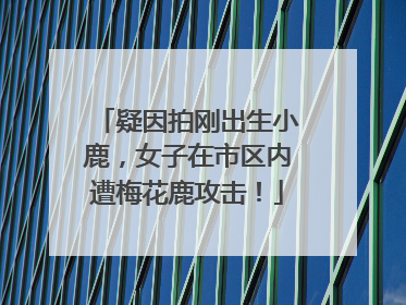 疑因拍刚出生小鹿，女子在市区内遭梅花鹿攻击！