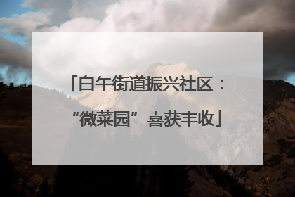 白午街道振兴社区：“微菜园”喜获丰收