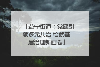 益宁街道：党建引领多元共治 绘就基层治理新画卷