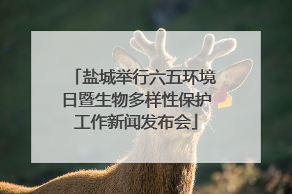 盐城举行六五环境日暨生物多样性保护工作新闻发布会