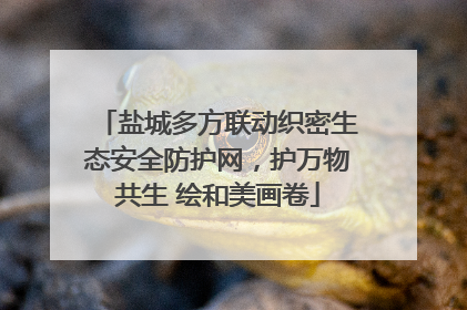 盐城多方联动织密生态安全防护网，护万物共生 绘和美画卷