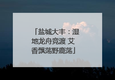 盐城大丰：湿地龙舟竞渡 艾香飘荡野鹿荡