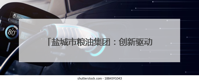 盐城市粮油集团：创新驱动助转型 提质增效促发展