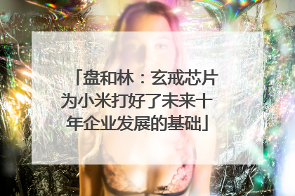 盘和林：玄戒芯片为小米打好了未来十年企业发展的基础