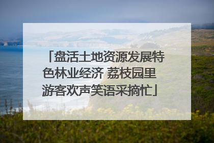 盘活土地资源发展特色林业经济 荔枝园里游客欢声笑语采摘忙