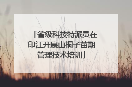 省级科技特派员在印江开展山桐子苗期管理技术培训