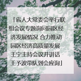 省人大常委会举行联组会议专题询问园区经济发展情况 合力推动园区经济高质量发展 王宁主持会议并讲话 王予波带队到会应询
