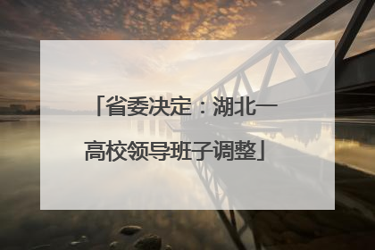 省委决定：湖北一高校领导班子调整