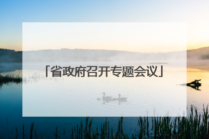 省政府召开专题会议