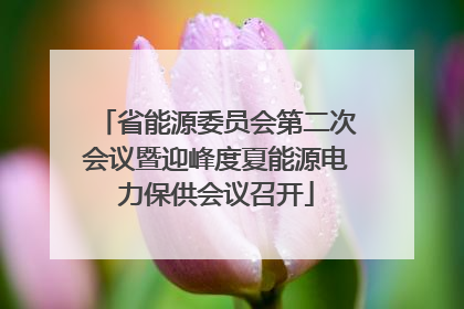 省能源委员会第二次会议暨迎峰度夏能源电力保供会议召开