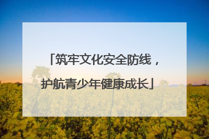 筑牢文化安全防线，护航青少年健康成长