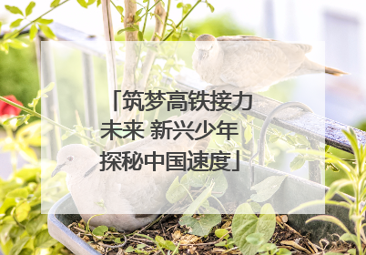 筑梦高铁接力未来 新兴少年探秘中国速度