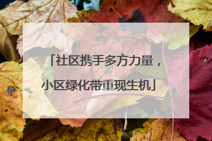 社区携手多方力量，小区绿化带重现生机