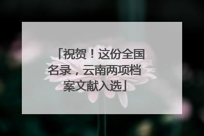祝贺！这份全国名录，云南两项档案文献入选