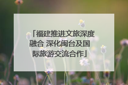 福建推进文旅深度融合 深化闽台及国际旅游交流合作