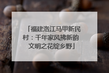 福建洛江马甲新民村：千年家风拂新韵 文明之花绽乡野