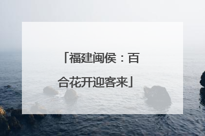 福建闽侯：百合花开迎客来
